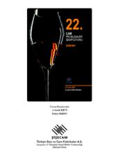 22. Cam Problemleri Sempozyumu